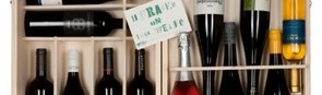 11 Frauen & ihre Weine