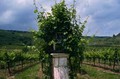 Bildstock in der Wachau