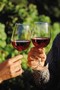 Rotwein