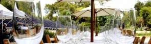 Foto DiningCity Restaurantwoche Wien