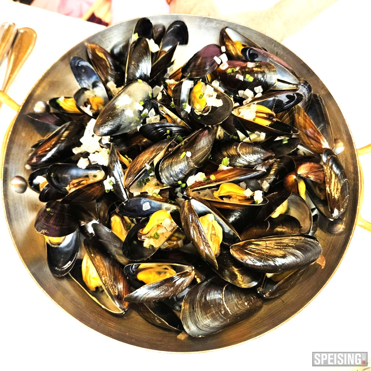 Miesmuscheln im Riesling